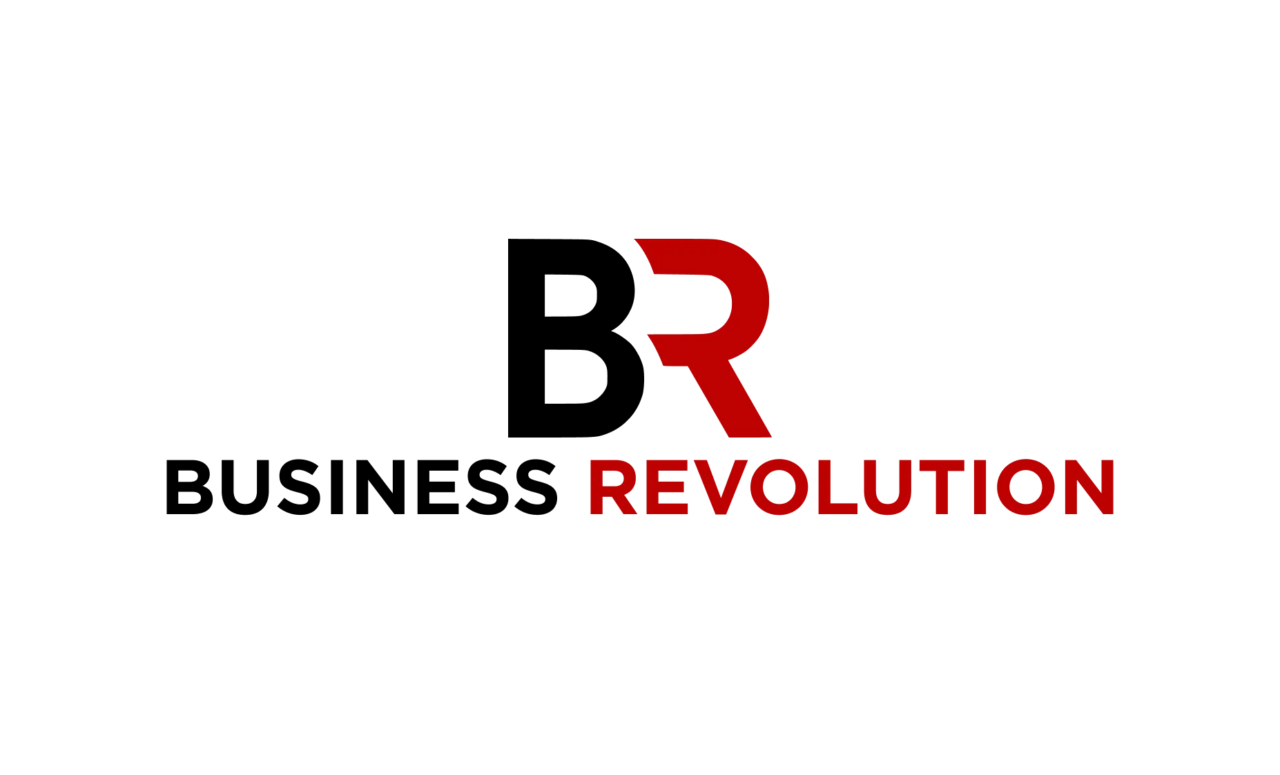  Business Revolution Support (IT Support & Maintenance)